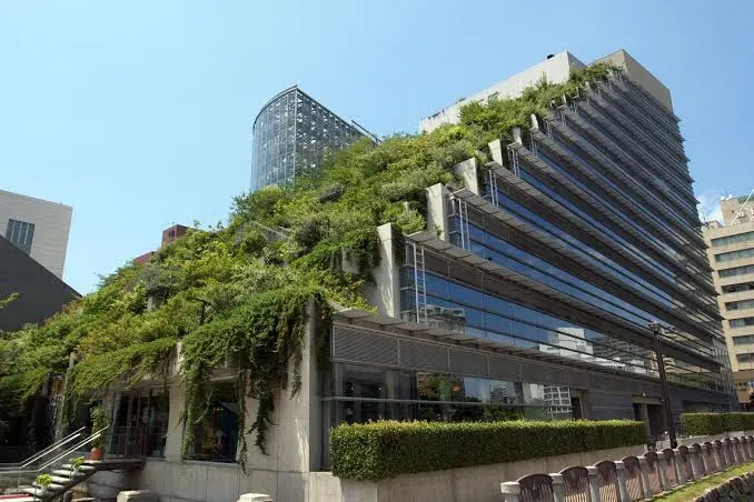 Green Roof System